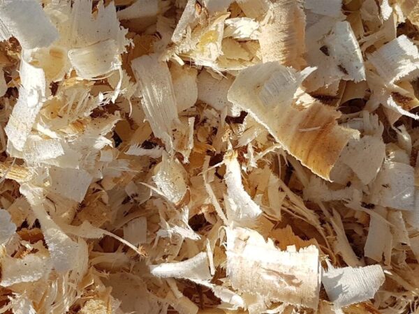 PINE SHAVINGS