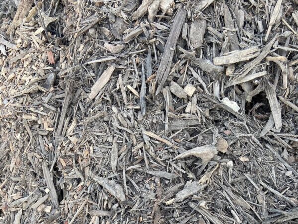 Forest Mulch