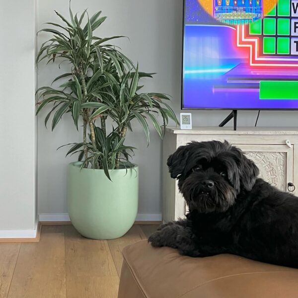U POT 40CM SAGE