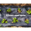 Instahut 3.66x30m Weed Mat Weedmat Control Plant - Image 6