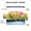 PLANTCRAFT 12 Pod Indoor Hydroponic Growing System, with Water Level Window & Pump, Black - Image 4