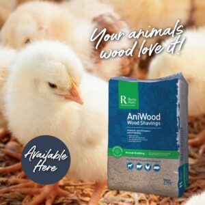 Aniwood Wood Shavings 70L