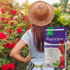 Blood & Bone 25kg